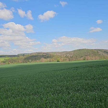 Ferienhaus-Wurzbach Buitenkant foto
