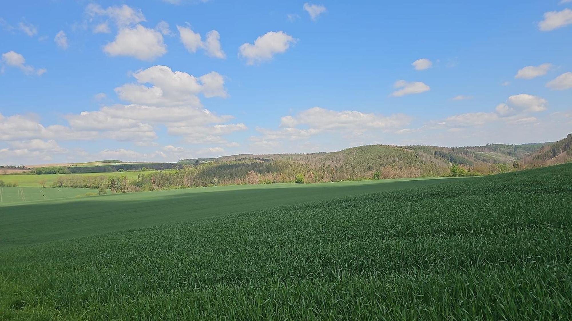 Ferienhaus-Wurzbach Buitenkant foto